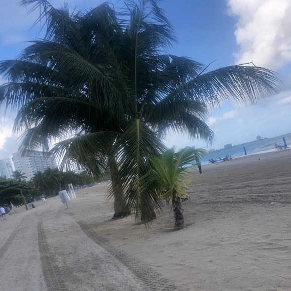 Meet your Posher, Sierra - Picture 1 of 1